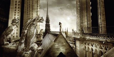 Gargouilles de Notre Dame - Stephane Rey Gorrez