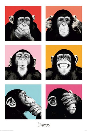 Pop Art Chimps - The Chimp