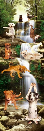 The Downward Dog - Yoga Dogs
