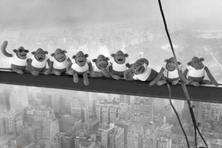Monkeys on a Girder - Animal Humour