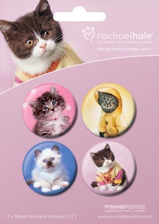 Cute Cats - by Rachael Hale
