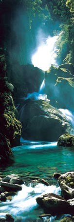 Crashing Waterfall - New Zealand