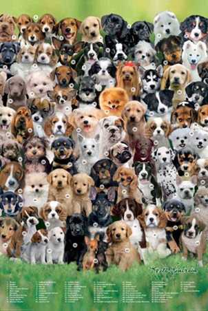 Name that Dog - Keith Kimberlin