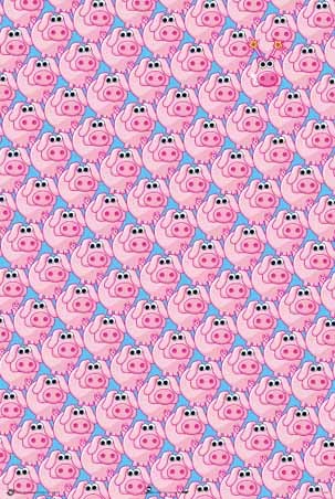 Party Pig Collage - Party Pig