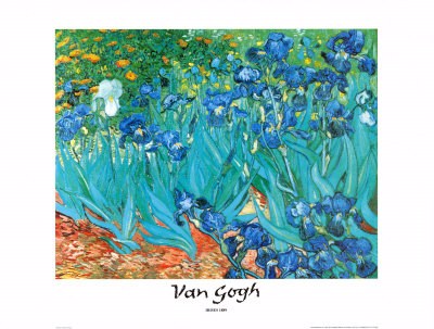 Irises, 1889 - Vincent Van Gogh