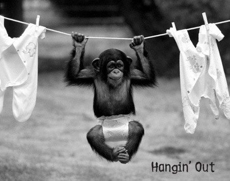Hangin' Out - Monkey Business