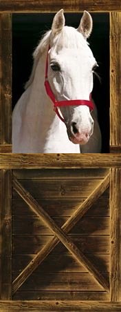 Sebastien - Animal Photography Door Mural