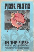In the Flesh Pink Floyd Live at Madison Square Garden