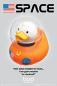 Space Duck Bud Ducks