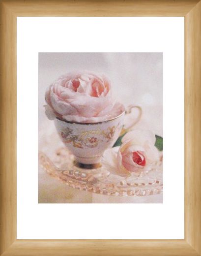 Framed Framed Pale Pink II - Lina Ricci