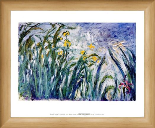 Framed Framed Campo Di Fiori Gialli - Claude Monet