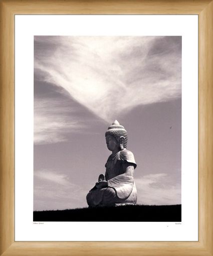 Framed Framed Buddha 2006 - Hakan Strand