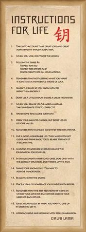 Framed Framed Instructions for Life - According to the Dalai Lama