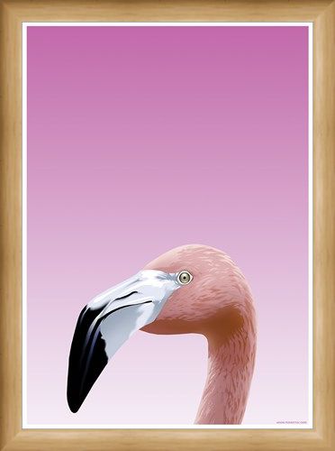 Framed Framed Flamboyant Flamingo - Inquisitive Creatures