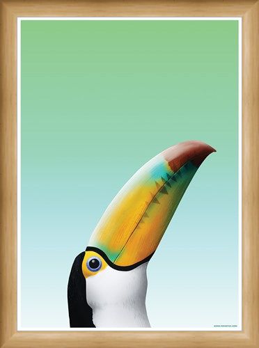Framed Framed Toucan - Inquisitive Creatures