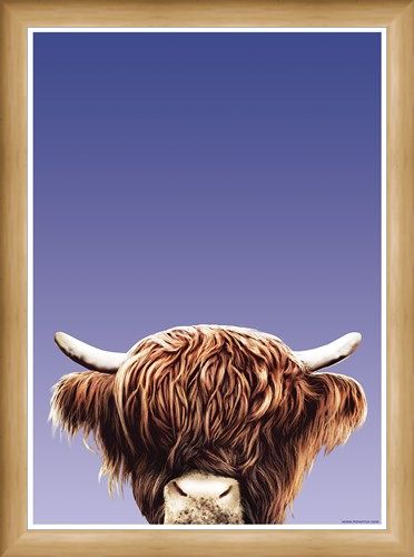 Framed Framed Hairy Highland - Inquisitive Creatures