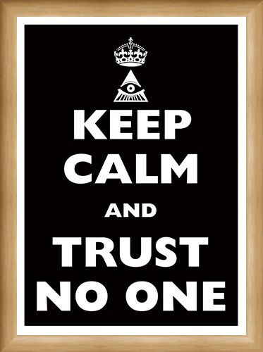 Framed Framed Keep Calm & Trust No One - Keep Calm & Carry On