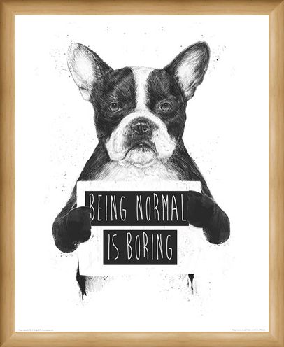 Framed Framed Being Normal Is Boring - Balazs Solti