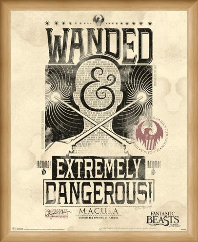 Framed Framed Extremely Dangerous - Fantastic Beasts