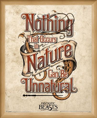 Framed Framed Nothing That Occurs In Nature... - Fantastic Beasts & Where To Find Them