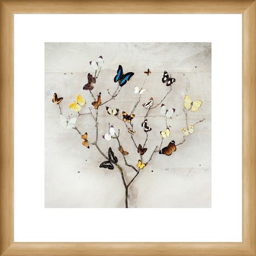 Framed Framed Tree of Butterflies - Ian Winstanley