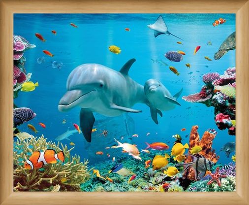 Framed Framed Tropical Ocean - Sea Creatures