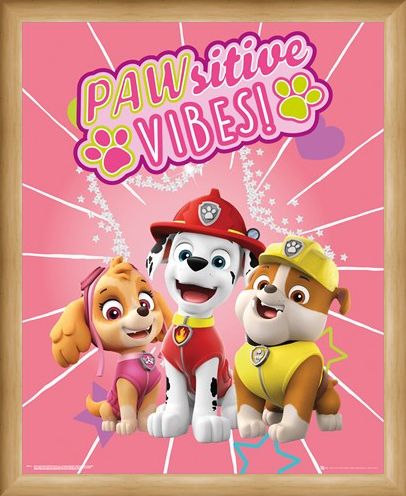 Framed Framed Pawsitive Vibes - Paw Patrol