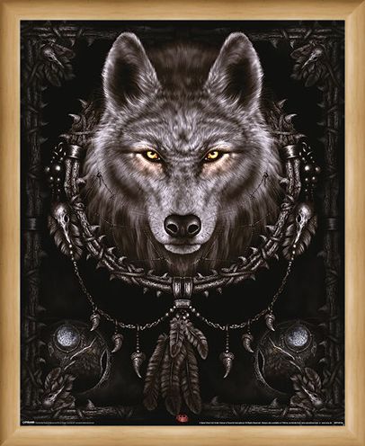 Framed Framed Wolf Dreams - Spiral