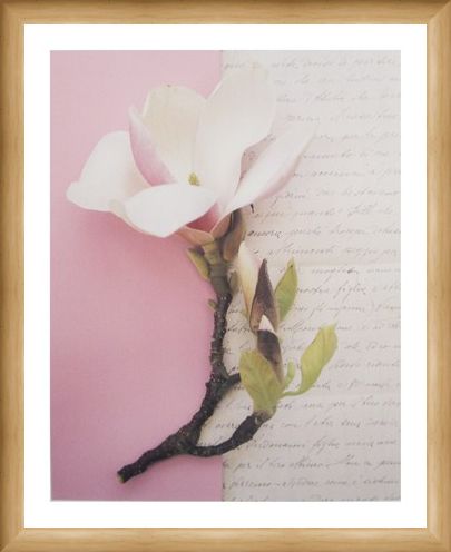 Framed Framed Emma's Garden Magnolia - Deborah Schenck