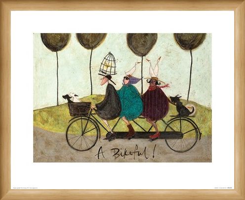 Framed Framed A Bikeful! - Sam Toft