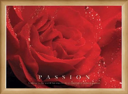 Framed Framed Rose Bloom - Passion, Inspirational