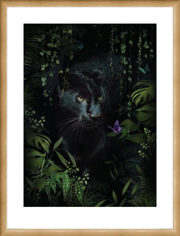 Framed Framed Panther - Summer Thornton