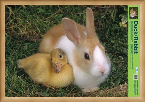Framed Framed Best Friends - Duck And Rabbit