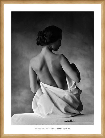 Framed Framed Modesty - Christian Coigny