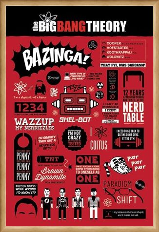 Framed Framed The Big Bang Theory Infographic - The Big Bang Theory