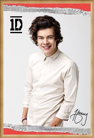 Framed Framed Harry - One Direction