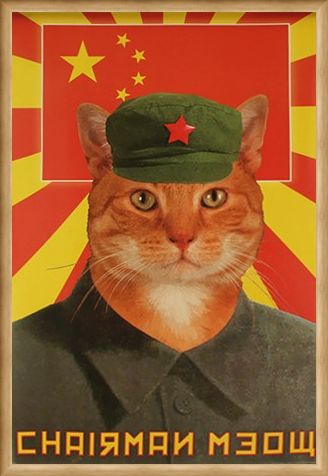 Framed Framed Chairman Meow - Calling All Meowists