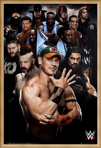 Framed Framed Superstars 2016 - WWE