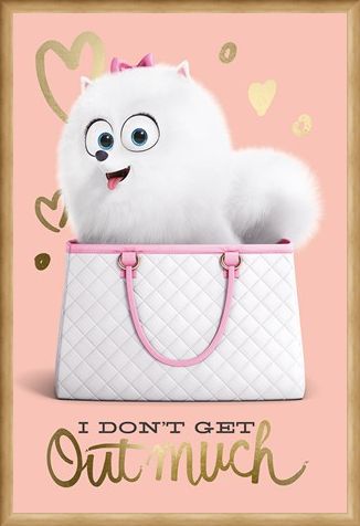 Framed Framed I Don't Get Out Much - The Secret Life Of Pets