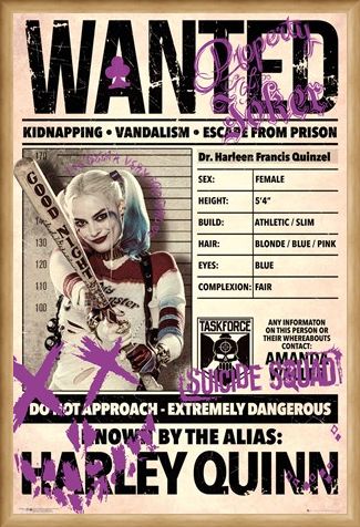 Framed Framed Harley Wanted - Suicide Squad
