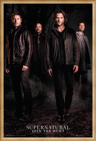 Framed Framed Season 12 - Supernatural