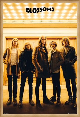 Framed Framed Band Line-up - The Blossoms