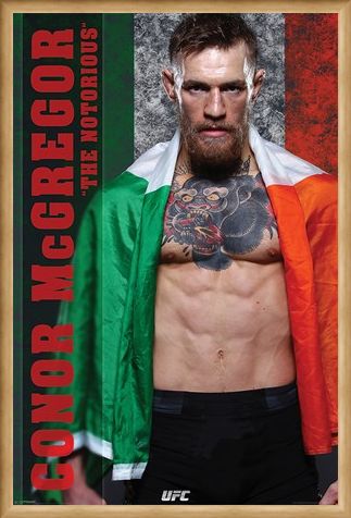 Framed Framed The Irish Champion - Conor McGregor