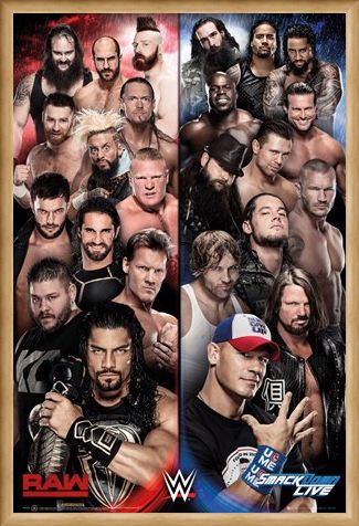 Framed Framed Raw vs Smackdown - WWE