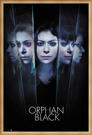 Framed Framed Faces - Orphan Black