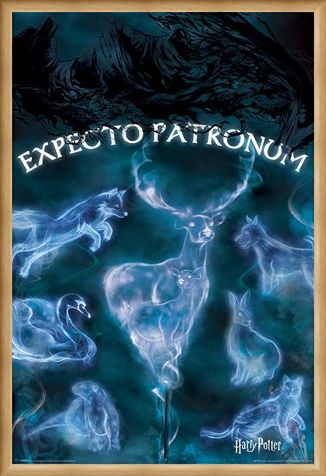 Framed Framed Expecto Patronum - Harry Potter