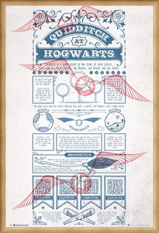 Framed Framed Rough Game, Quidditch - Harry Potter