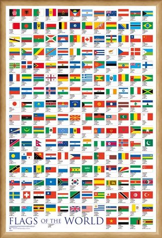 Framed Framed Flags Of The World - Educational