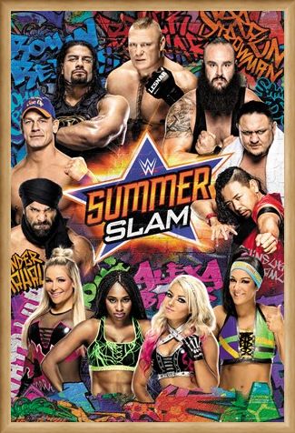 Framed Framed Summerslam - WWE