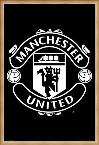 Framed Framed Crest 17-18 - Manchester United